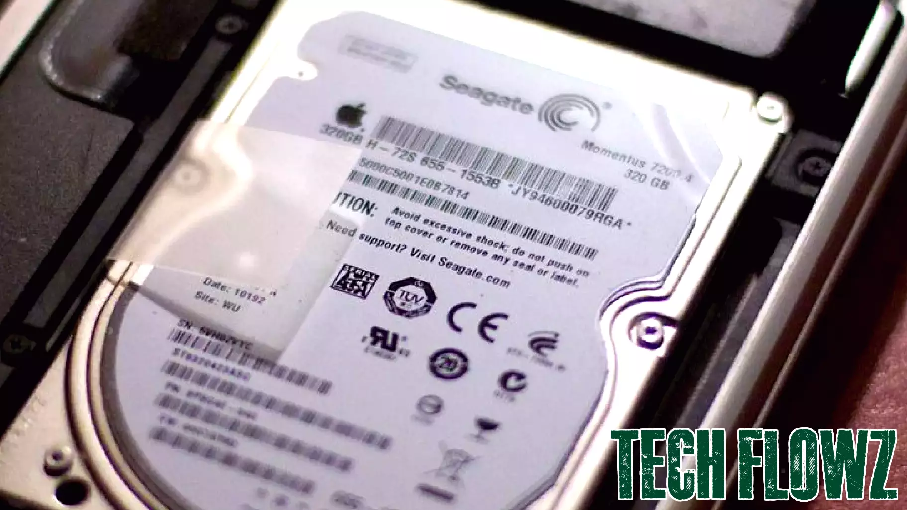 Seagate Technology Holdings' Stock Value Experiences Notable Increase