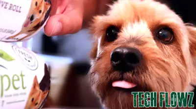 Align Technology Reports Strong Earnings and Innovations in Invisalign Platform