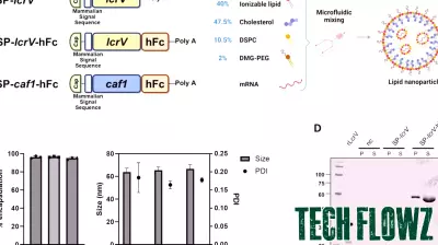 Breakthrough in mRNA Technology: First Vaccine Against Antibiotic-Resistant Bacteria