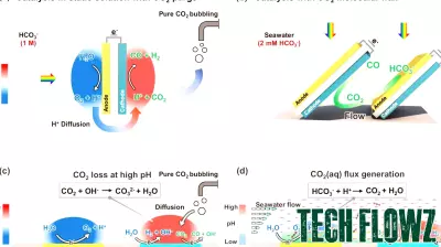 Innovative Sunlight-Powered Technology Converts Ocean Carbon into Industrial Feedstock